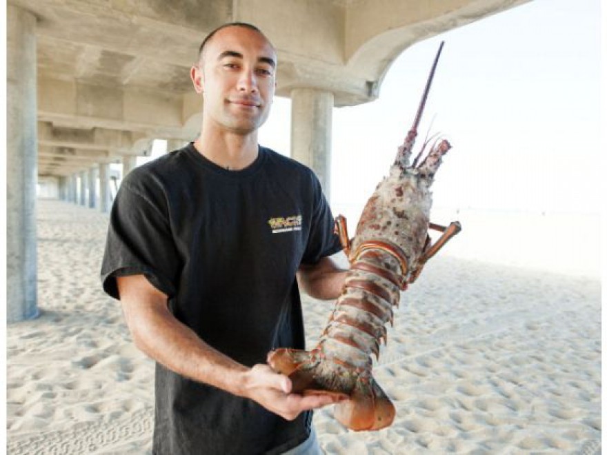 California, pescata aragosta gigante da 8 kg