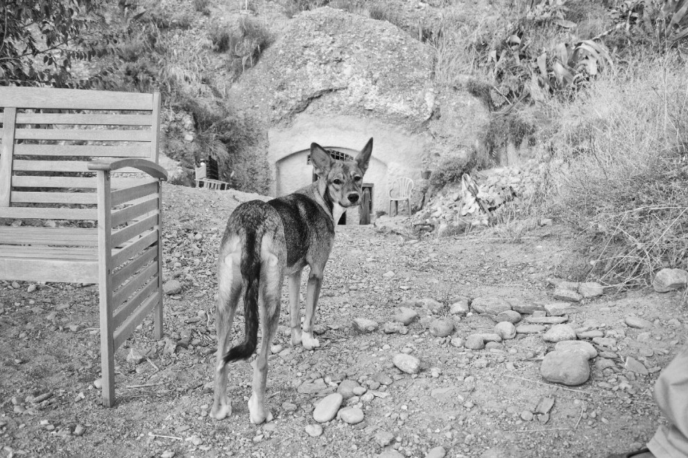 Il Sacromonte di Granada, sulle tracce dei gitani