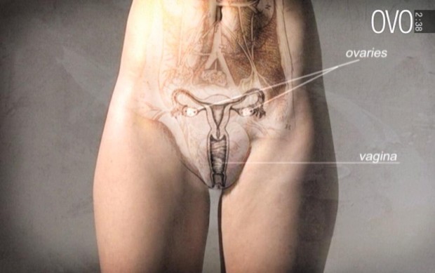 L'educazione sessuale secondo Ovo: come conoscere l'anatomia in 3 minuti