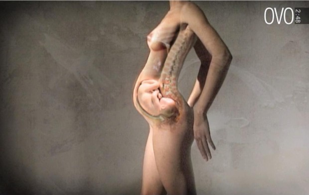 L'educazione sessuale secondo Ovo: come conoscere l'anatomia in 3 minuti