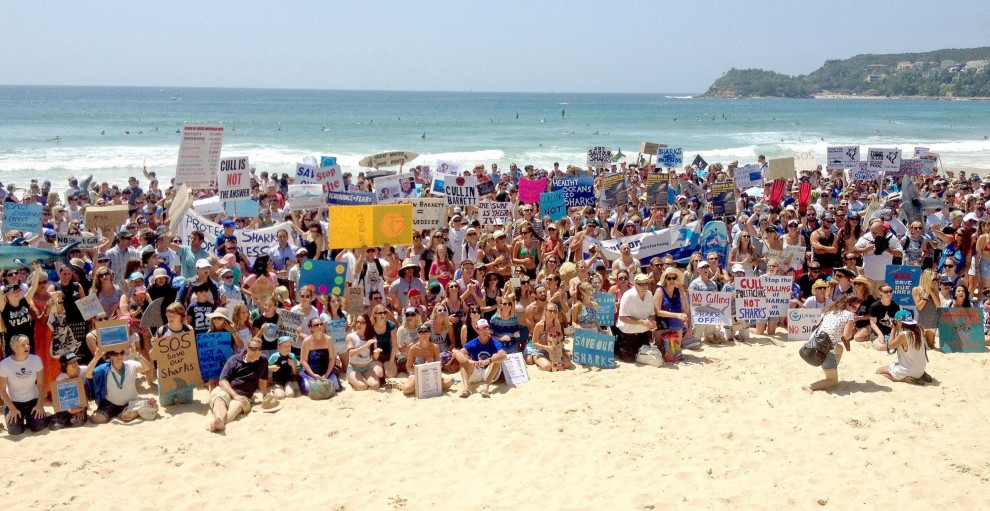 Australia, migliaia in spiaggia per difendere gli squali