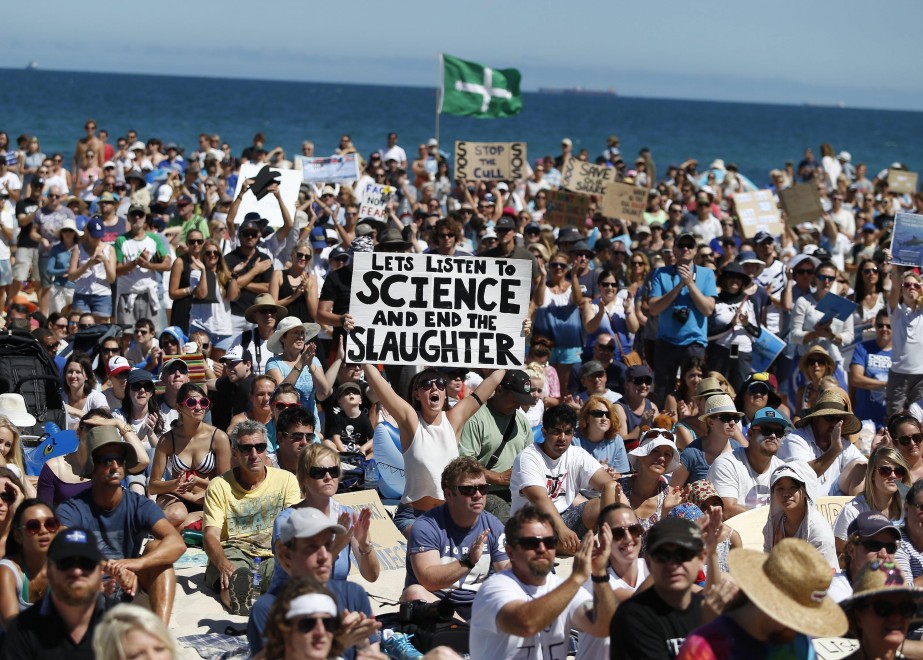 Australia, migliaia in spiaggia per difendere gli squali