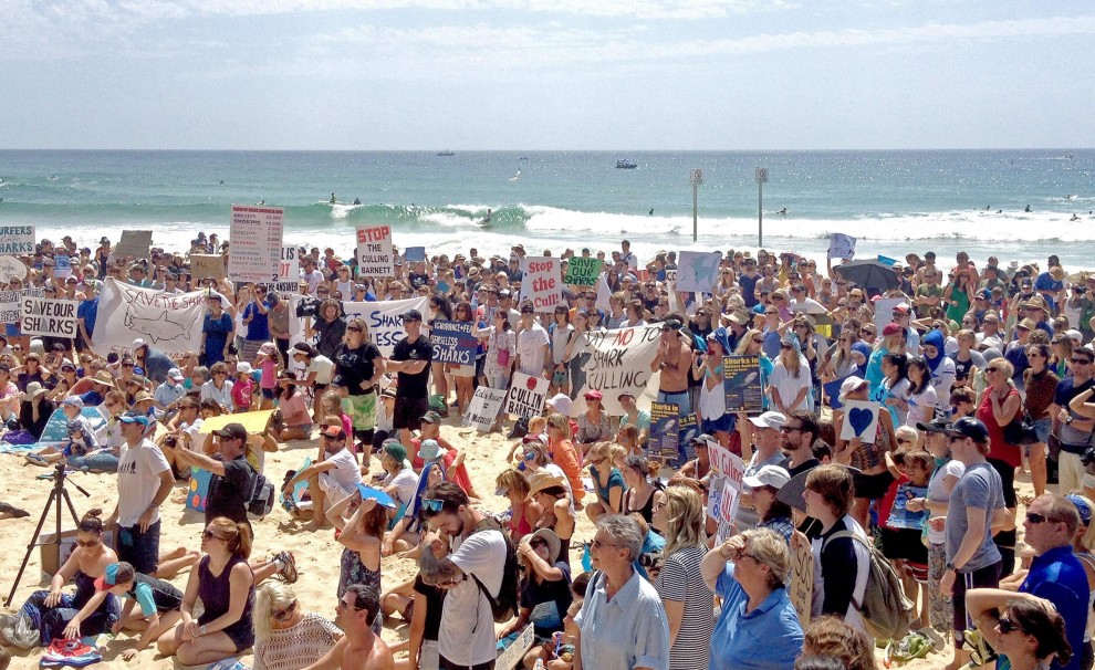 Australia, migliaia in spiaggia per difendere gli squali