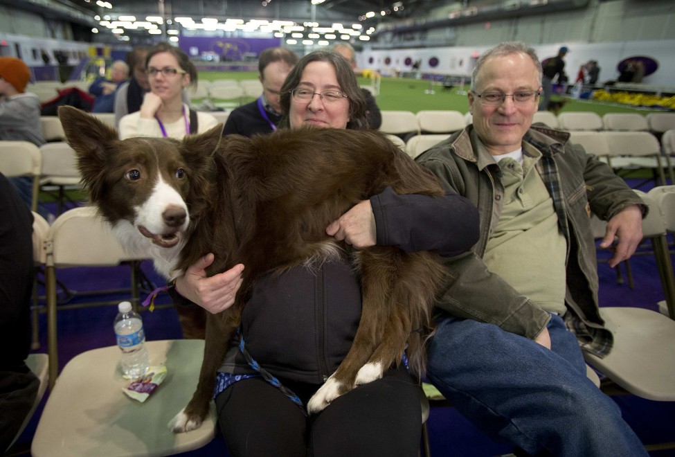 New York, le Olimpiadi dei cani acrobati