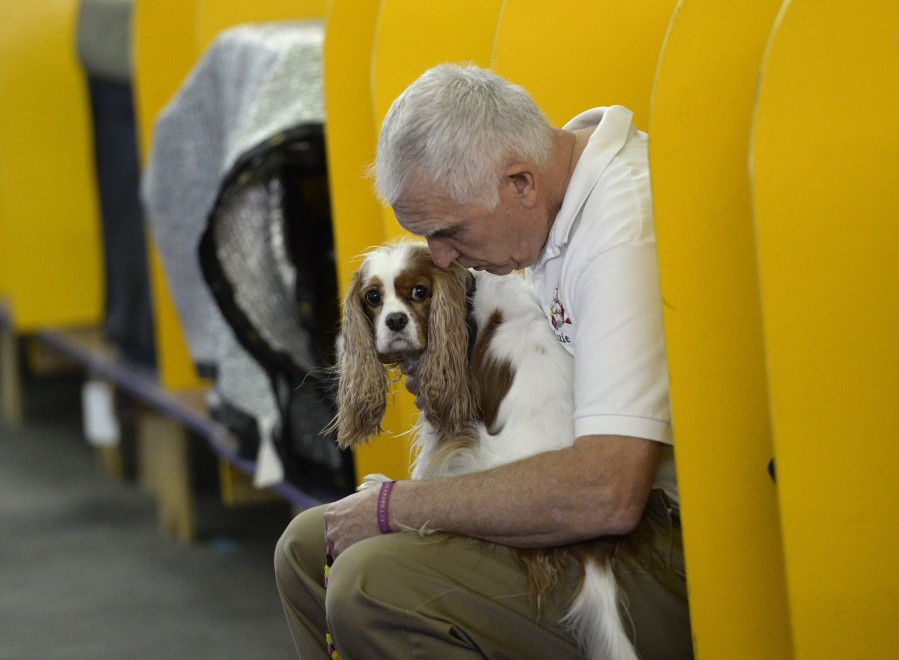 New York, le Olimpiadi dei cani acrobati