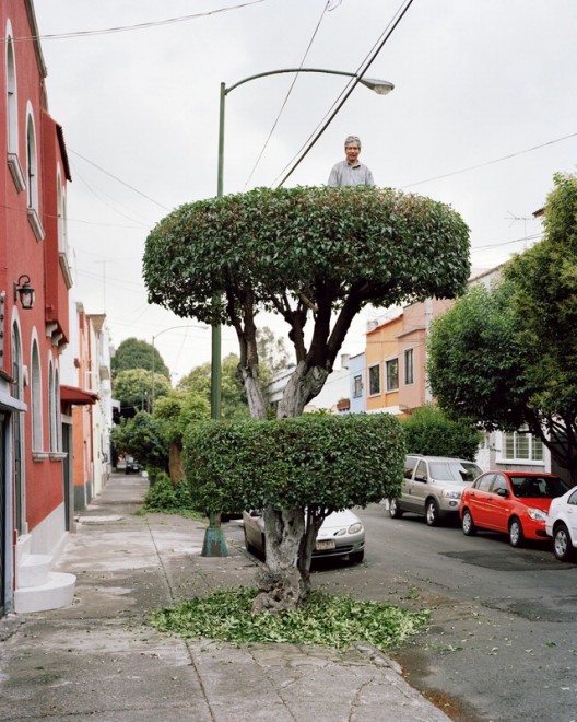 Messico: in posa tra i rami, c'&egrave; vita sull'albero