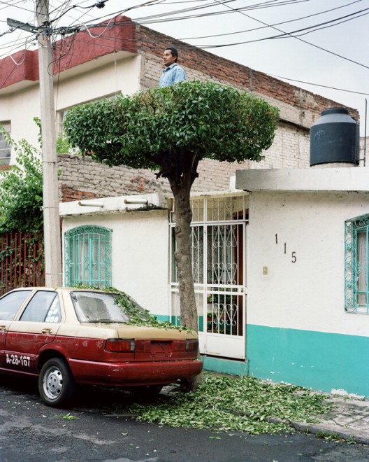 Messico: in posa tra i rami, c'&egrave; vita sull'albero