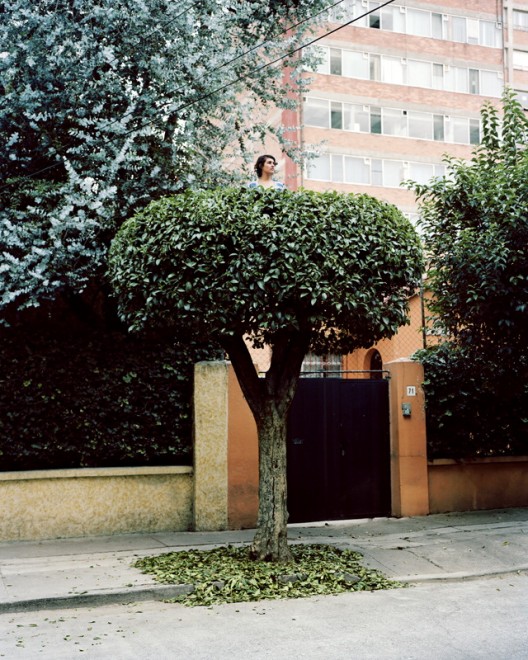 Messico: in posa tra i rami, c'&egrave; vita sull'albero