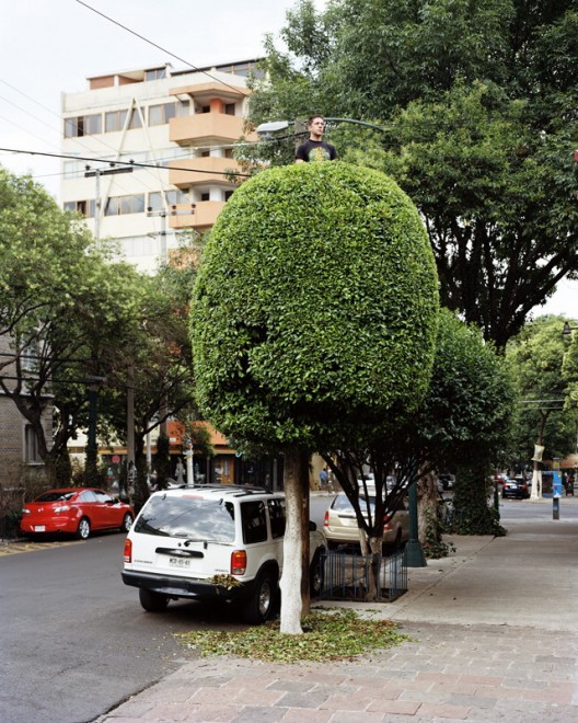 Messico: in posa tra i rami, c'&egrave; vita sull'albero
