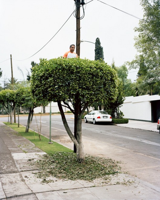 Messico: in posa tra i rami, c'&egrave; vita sull'albero