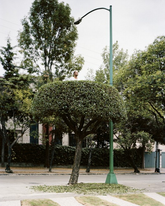 Messico: in posa tra i rami, c'&egrave; vita sull'albero