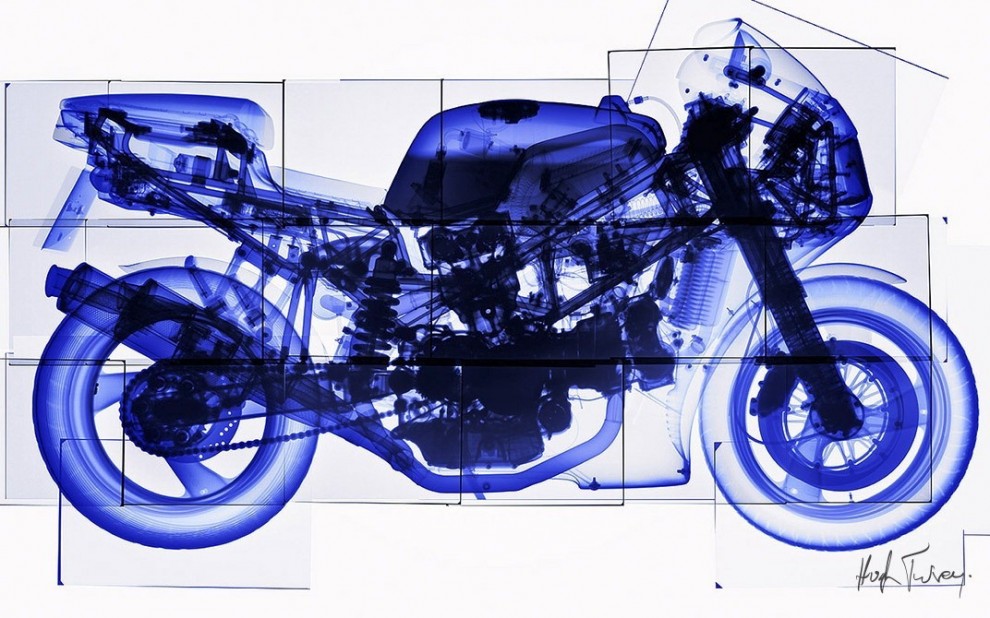 Tra arte e scienza: ecco le fotografie ai raggi x