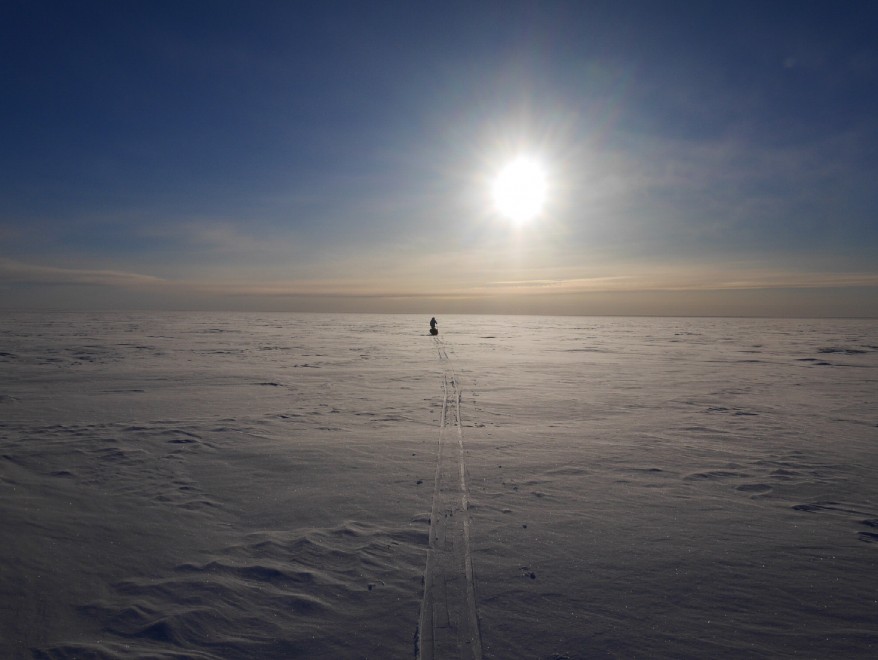 Scott Expedition, andata e ritorno dal Polo Sud
