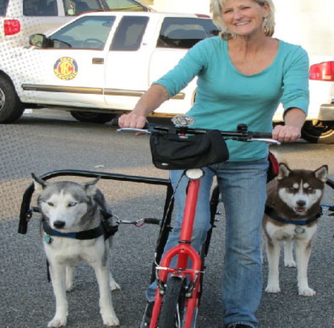 La bici-monopattino per cani e padroni: la pedalata a ritmo