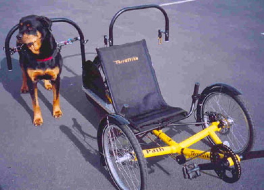 La bici-monopattino per cani e padroni: la pedalata a ritmo