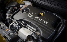 Ginevra, un cuore nuovo per Adam