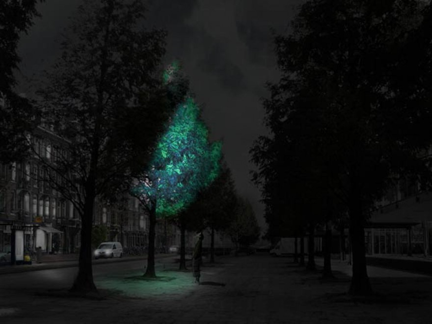 La natura si illumina: un progetto per alberi luminescenti
