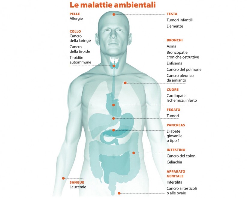 Inquinamento ambientale, come funziona