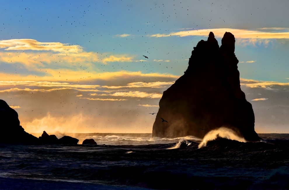 Islanda, il diario del fotografo naturalista