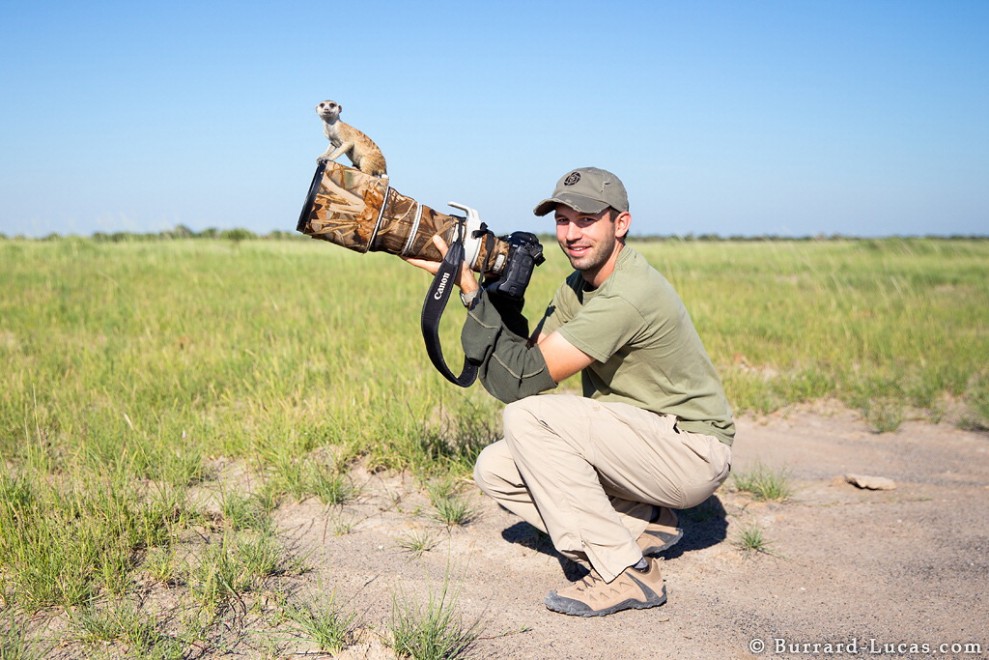 Il fotografo e il suricato, incontro ravvicinato in Sudafrica