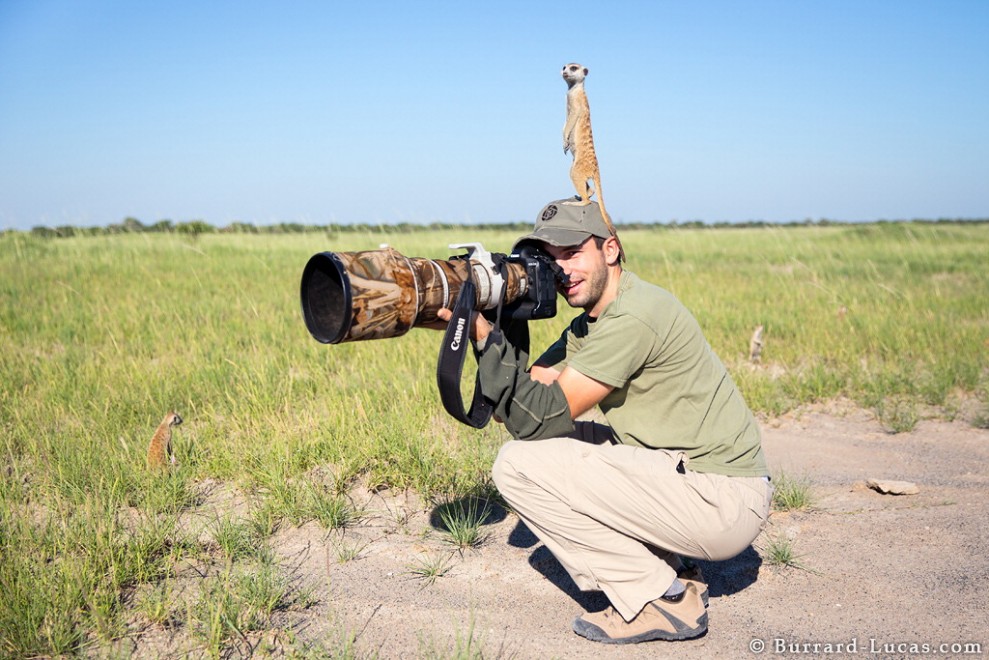 Il fotografo e il suricato, incontro ravvicinato in Sudafrica