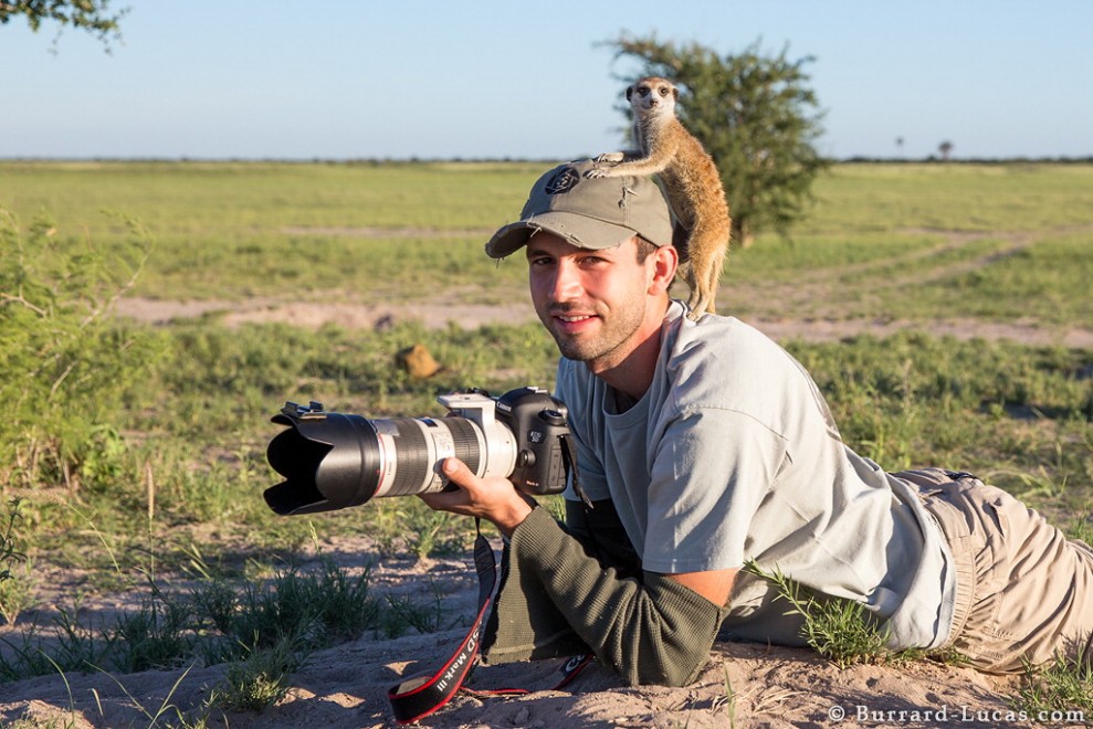 Il fotografo e il suricato, incontro ravvicinato in Sudafrica