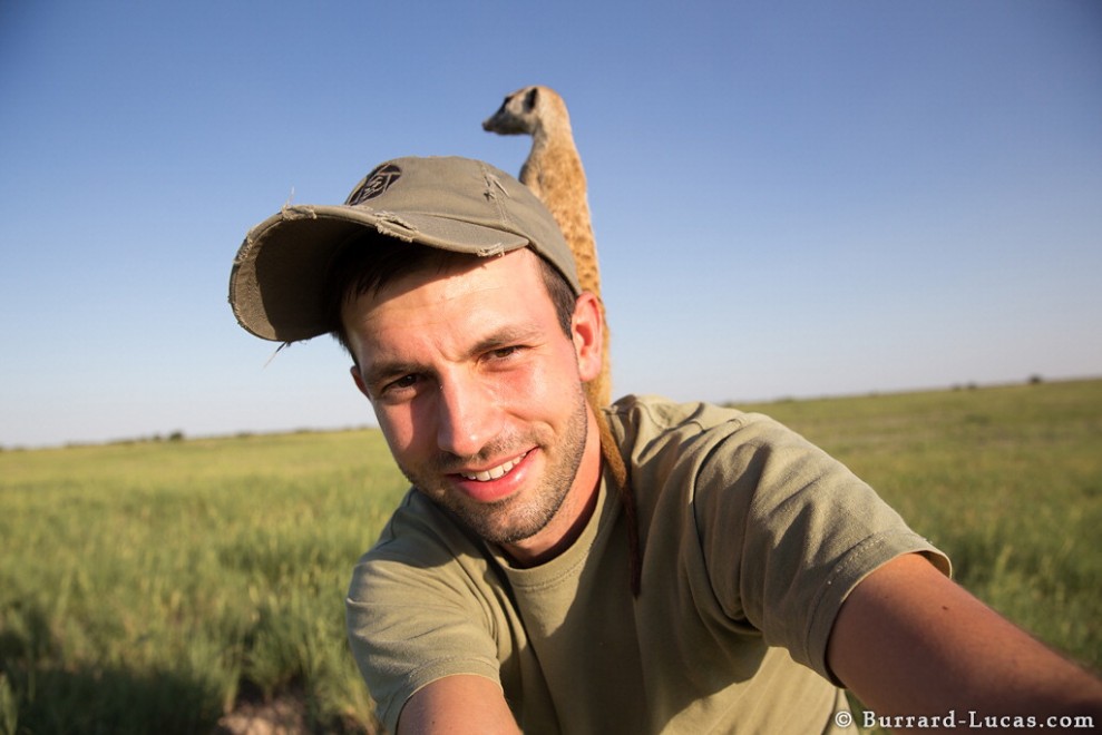 Il fotografo e il suricato, incontro ravvicinato in Sudafrica
