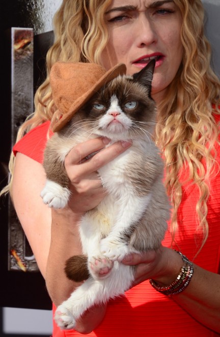 Miss Grumpy Cat Grumpy Cat sfila sul red carpet degli Mtv Music Award - la Repubblica