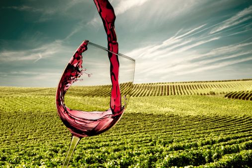 La “grandeur “ del vino italianoi francesi ci invidiano le vigne