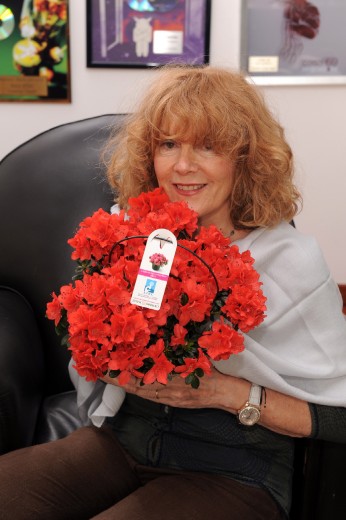 Festa della mamma con l'azalea della ricerca: da 30 anni contro i tumori