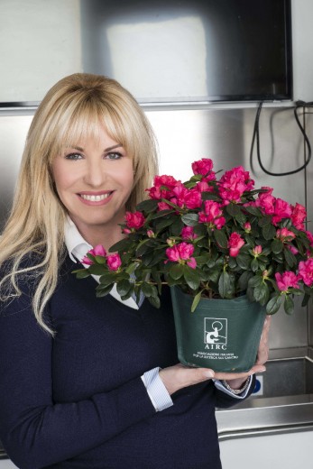 Festa della mamma con l'azalea della ricerca: da 30 anni contro i tumori