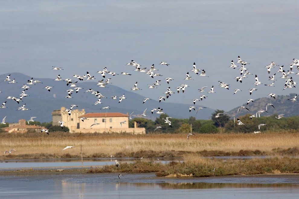 Wwf, una domenica tra le Oasi d'Italia