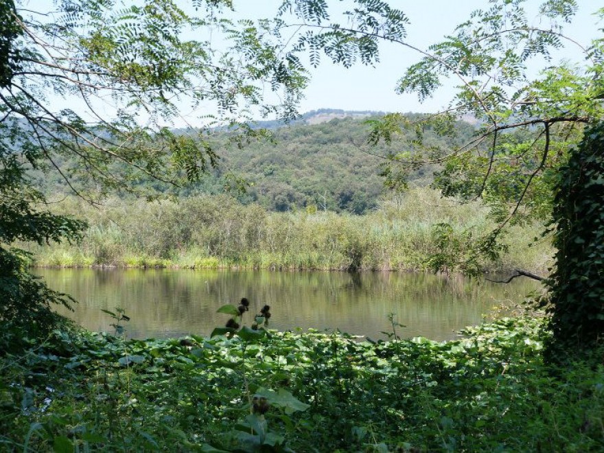 Wwf, una domenica tra le Oasi d'Italia