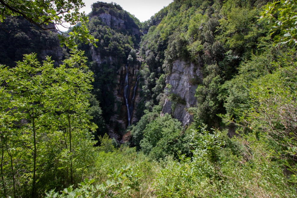 Wwf, una domenica tra le Oasi d'Italia