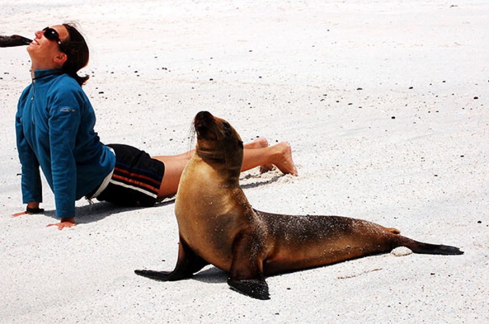 Uno stretching bestiale, gli animali fanno yoga