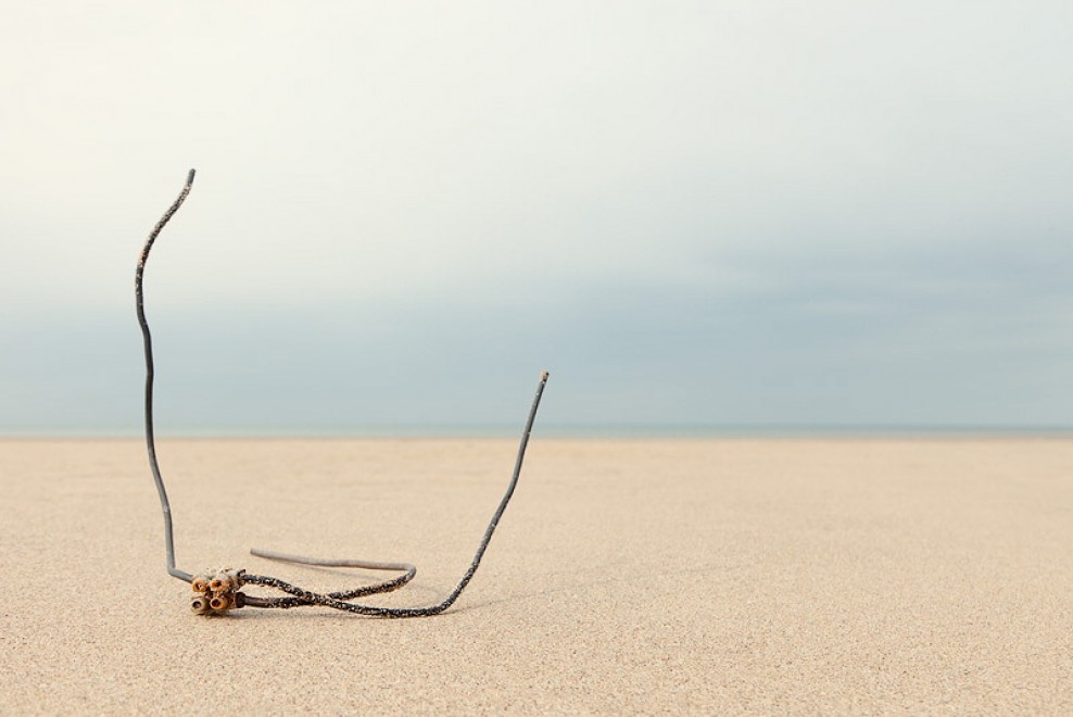 Setacciando la spiaggia: la spazzatura diventa arte
