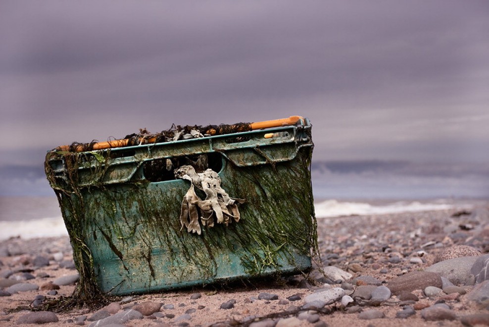 Setacciando la spiaggia: la spazzatura diventa arte