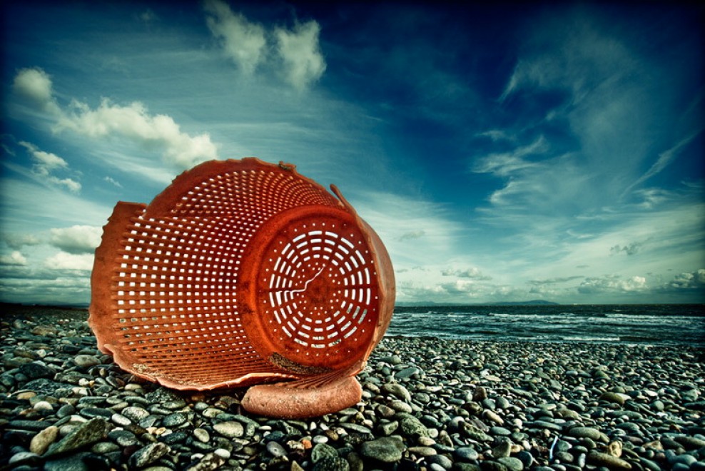 Setacciando la spiaggia: la spazzatura diventa arte