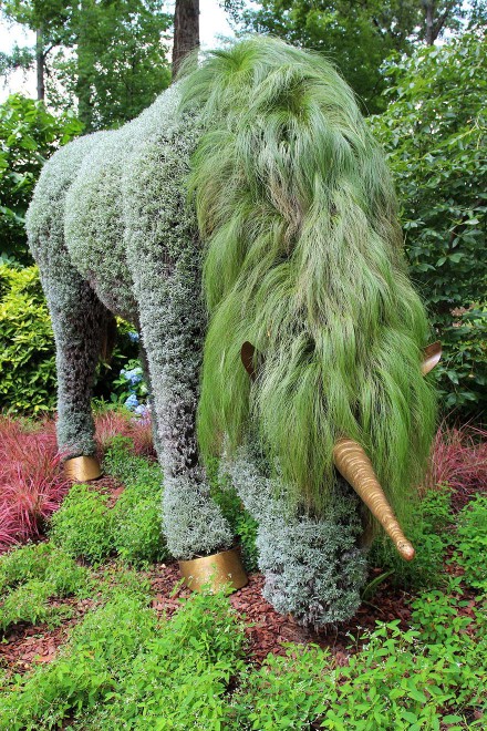 Atlanta, sculture vegetali giganti al giardino botanico