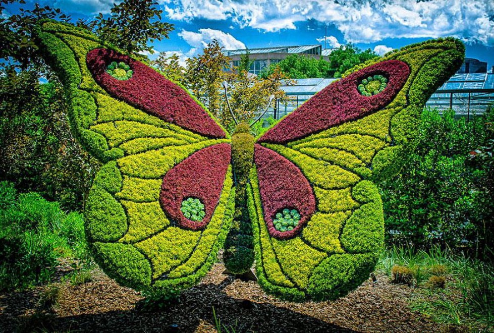 Atlanta, sculture vegetali giganti al giardino botanico