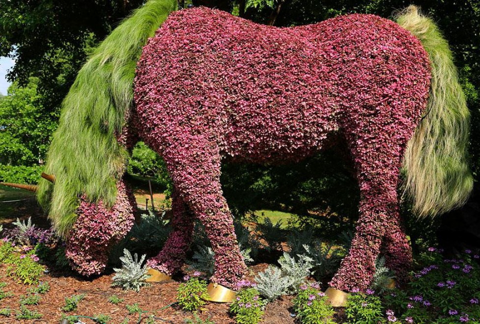 Atlanta, sculture vegetali giganti al giardino botanico