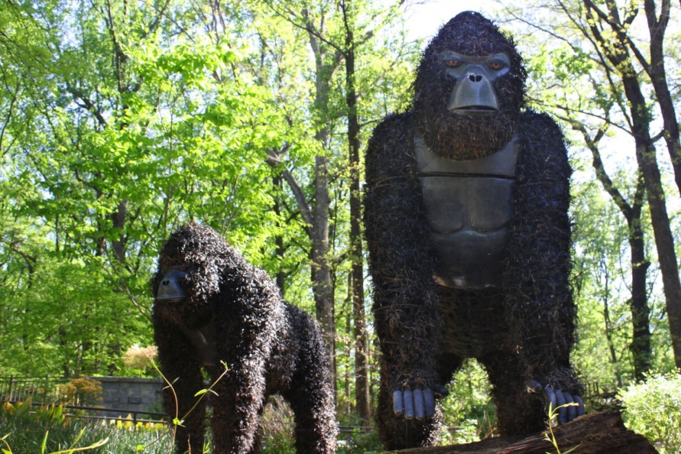 Atlanta, sculture vegetali giganti al giardino botanico