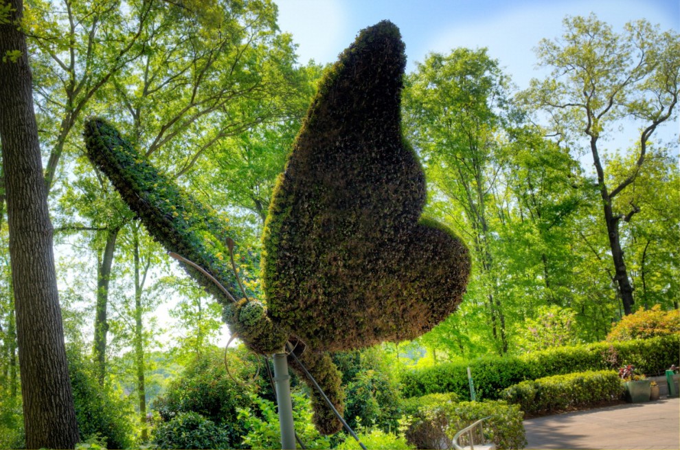 Atlanta, sculture vegetali giganti al giardino botanico