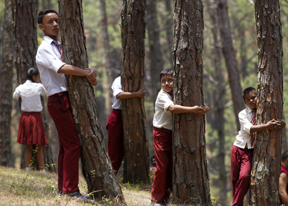 Abbraccio record agli alberi: in 2mila per la giornata mondiale dell'Ambiente