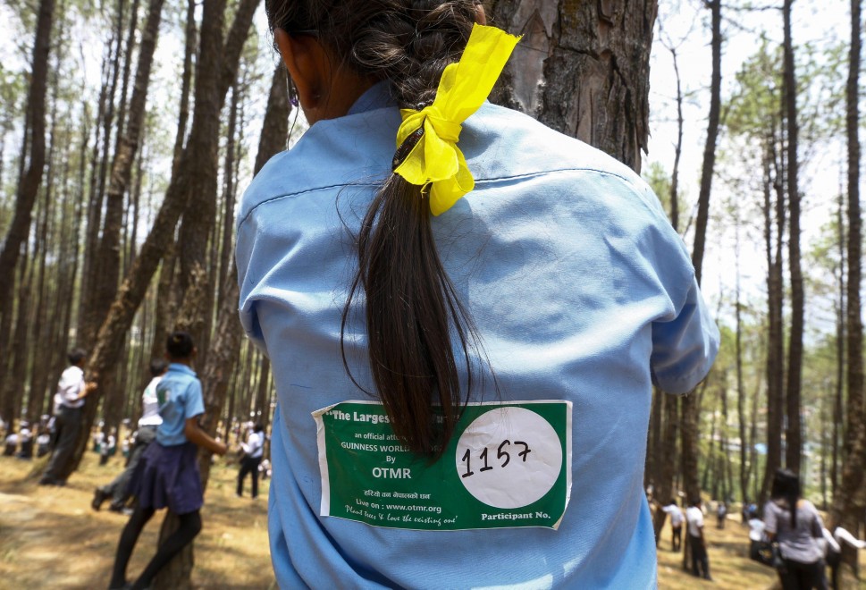 Abbraccio record agli alberi: in 2mila per la giornata mondiale dell'Ambiente