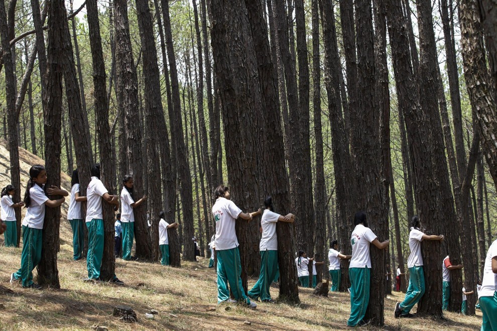 Abbraccio record agli alberi: in 2mila per la giornata mondiale dell'Ambiente