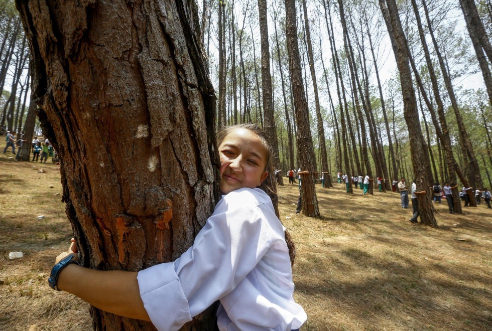 Abbraccio record agli alberi: in 2mila per la giornata mondiale dell'Ambiente