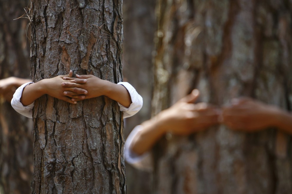 Abbraccio record agli alberi: in 2mila per la giornata mondiale dell'Ambiente