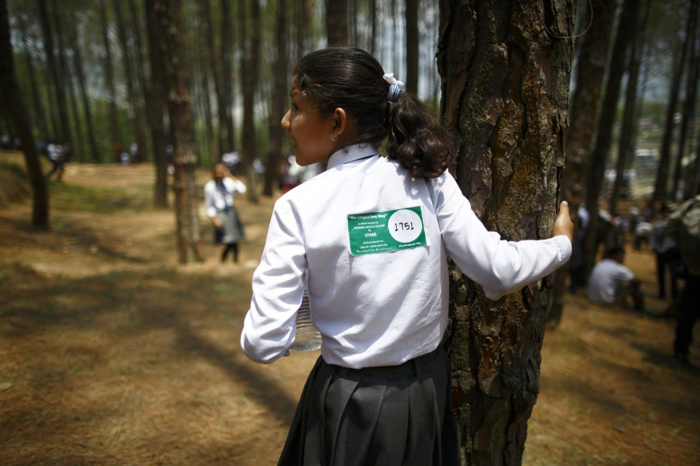 Abbraccio record agli alberi: in 2mila per la giornata mondiale dell'Ambiente