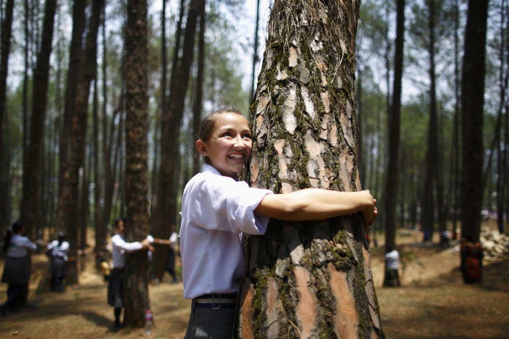 Abbraccio record agli alberi: in 2mila per la giornata mondiale dell'Ambiente